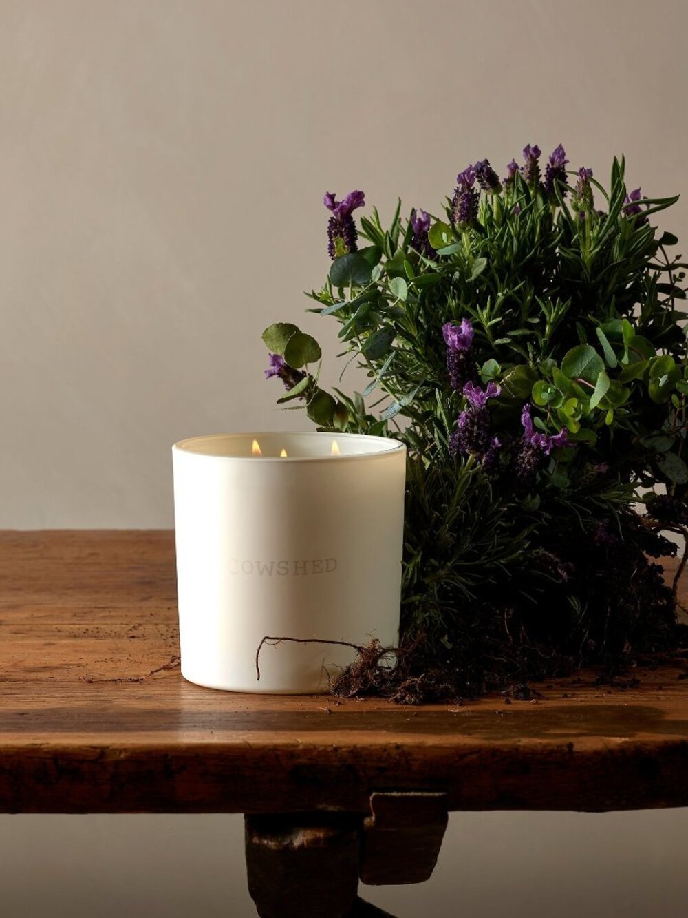 Cowshed Relax Candle Lavender & Eucalyptus Infused 7.7 oz
